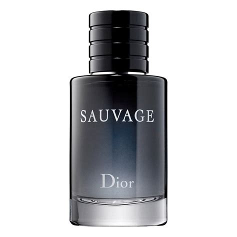 dior ekşi|dior sauvage .